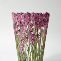 <a href="https://www.galeriegosserez.com/artistes/clegg-shannon.html">Shannon Clegg</a> - « Flora » - Medium Pink Sculpture